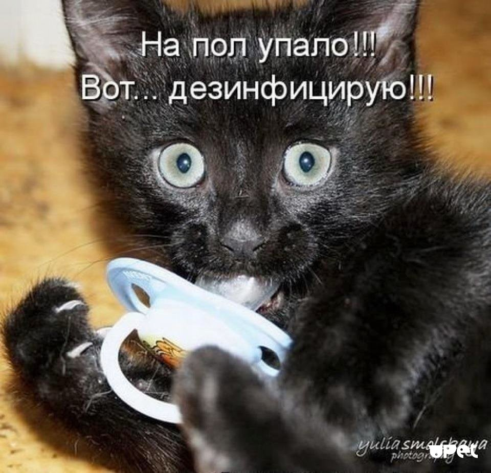 55 55 55 55
