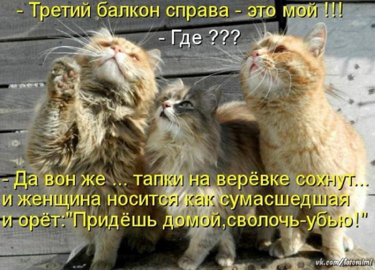 55 55 55 55