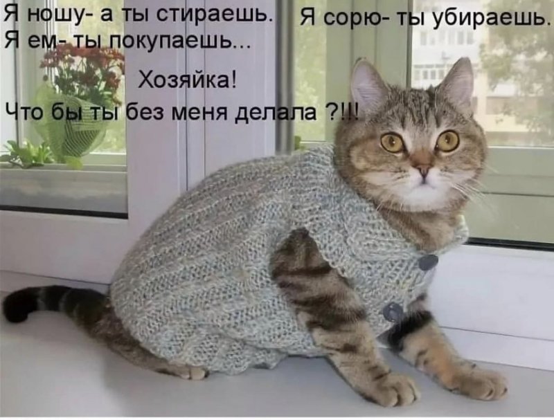  52 52 